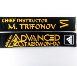 Advanced taekwondo