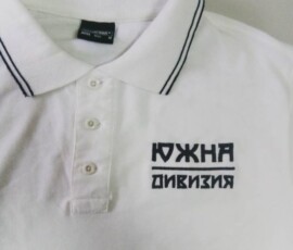 Левски - Южна дивизия