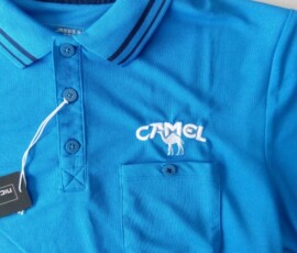 Camel