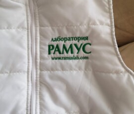 Рамус